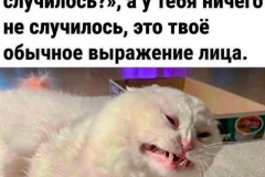1HzbxykpJN8