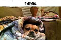 qBptu6FfHTo