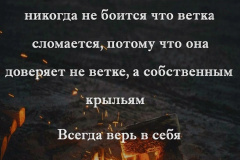 7JM9OTvtiVY
