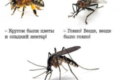 MlAPTf5GaaM
