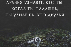 ZqbaL_wrvPs