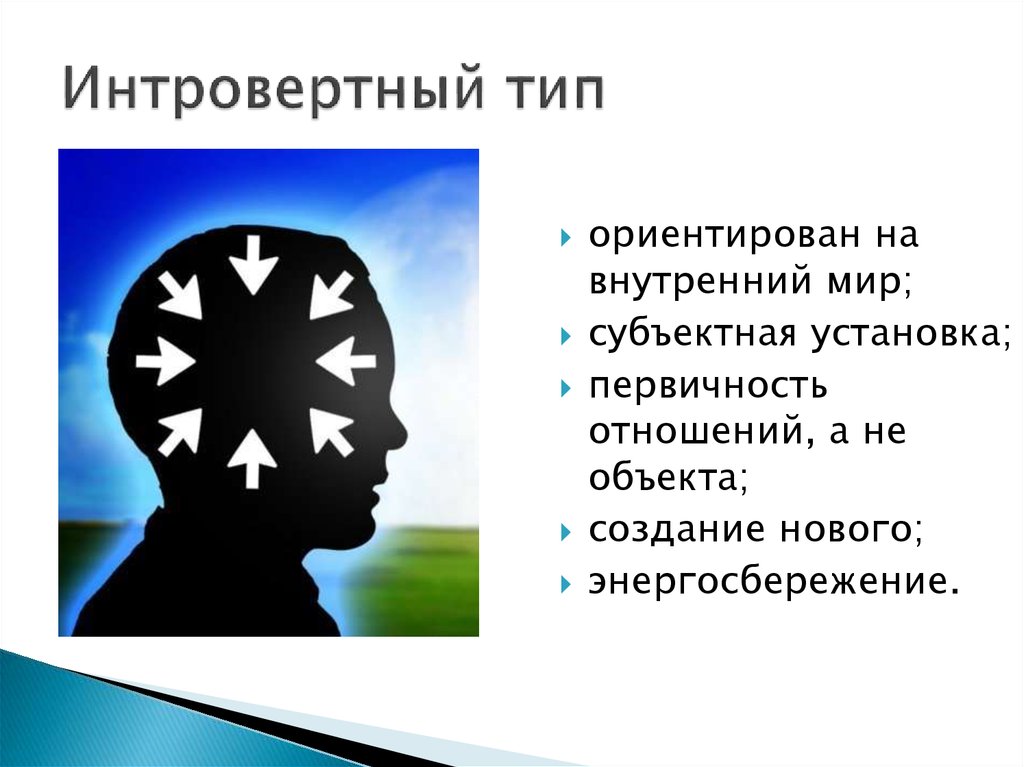 Интровертированный сенсорный тип