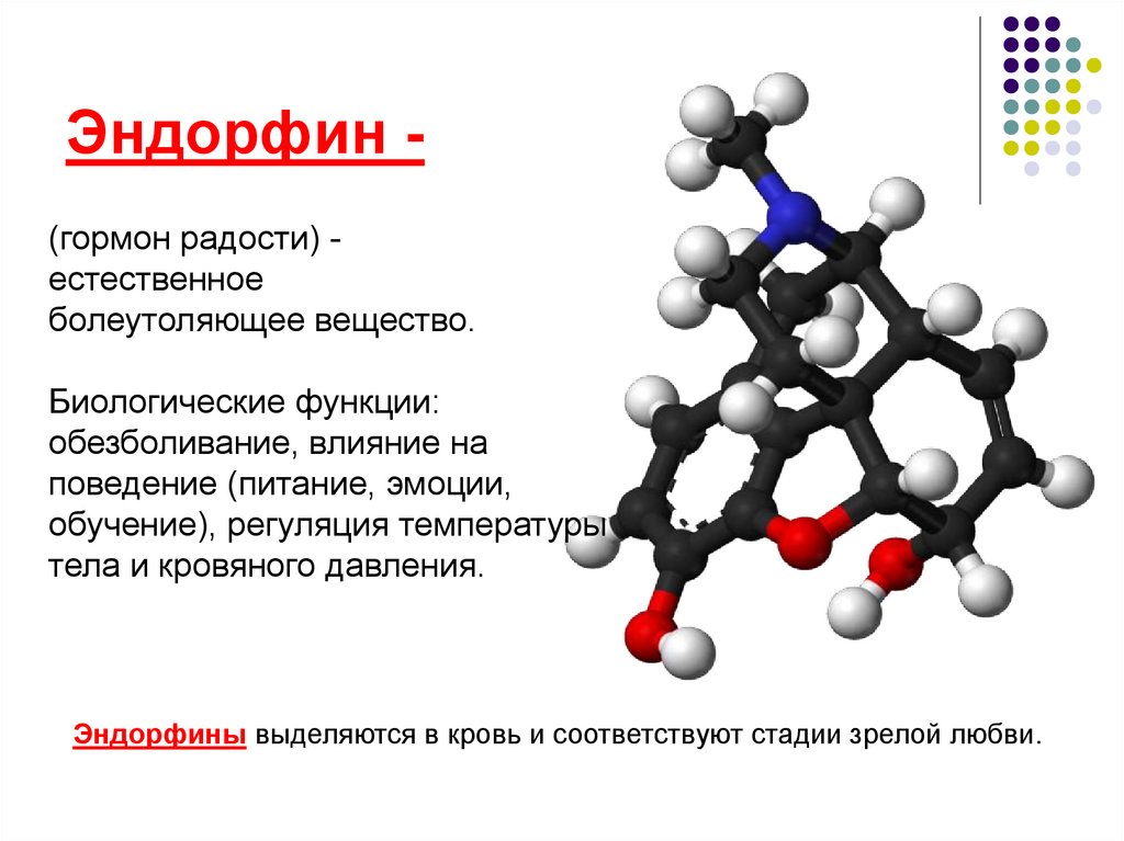 Эндорфин