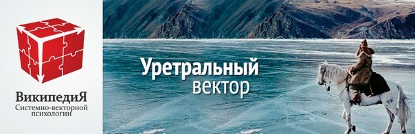 Уретральный Вектор